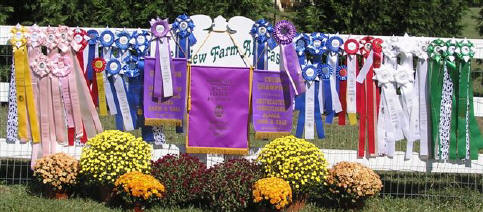 Show Ribbons