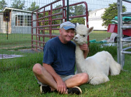 Getting an Alpaca Hug